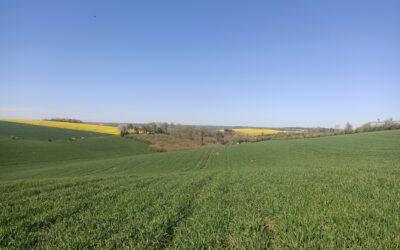 Appel à candidatures exploitation agricole et biodiversité